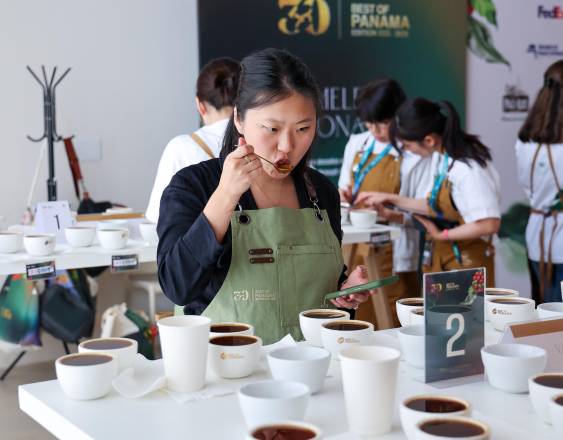 SCAP | Expertos catadores de café.