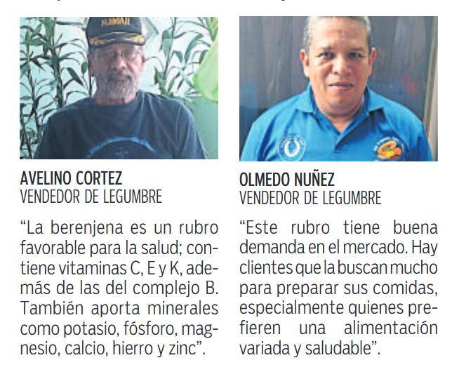 $!Las provincias de Chiriquí, Herrera y Los Santos lideran la producción de berenjena
