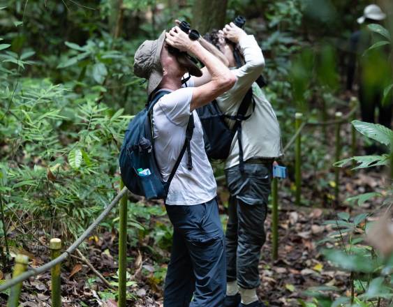 @agendacaf | Científicos internacionales realizaron un recorrido en la isla Barro Colorado.