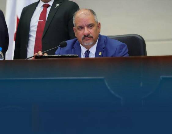 ML | Sesión en el pleno de la Asamblea.