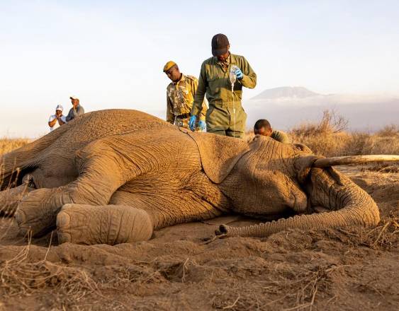 (Photo by SIMON MAINA / AFP)