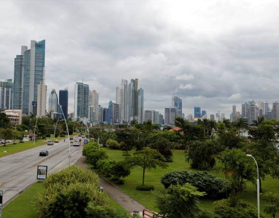 MIAMBIENTE | Vista de los diversos árboles plantados sobre la Cinta Costera.