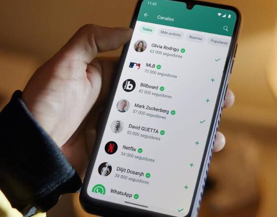 WhatsApp explicará las principales prohibiciones en su servicio antes de llegar a la suspensión de la cuenta