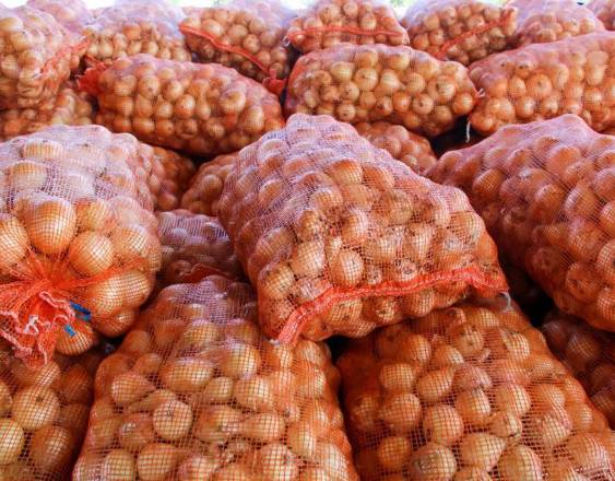 ML | Sacos de cebollas listos para su comercilización.