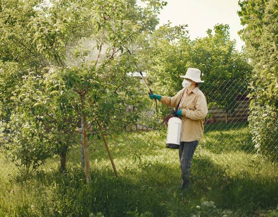 Pexels | Imagen ilustrativa.