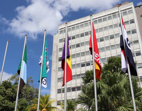 Bancadas: La reforma al reglamento es prioridad