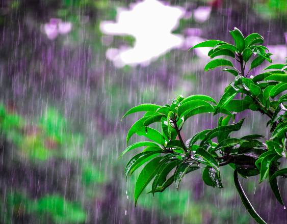 Pexels | Lluvias caen sobre el territorio nacional.