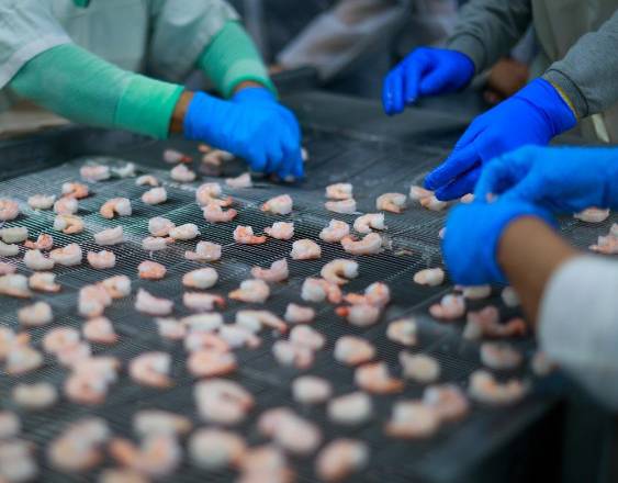 Récord histórico en exportaciones de bienes en el primer trimestre de 2026