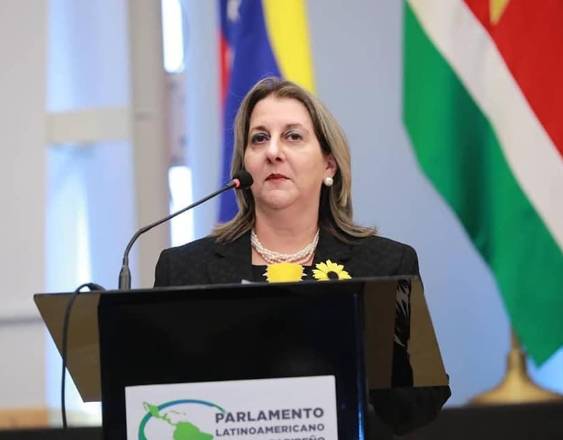 ÓRGANO JUDICIAL | La abogada Ángela Russo.