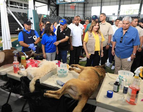 ML | Durante la jornada de esterilización.