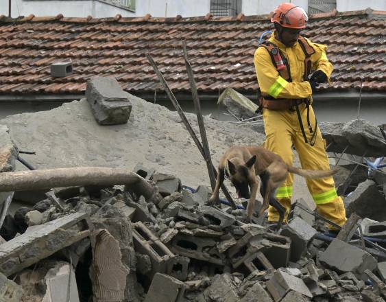AFP | Bombero y un perro de rescate en el área del colapso de la vivienda.