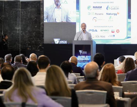 Gobierno anuncia licitaciones clave para el sector eléctrico en marzo