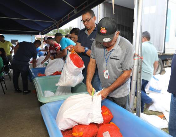 Autorizan importar jamón picnic y materia prima de cerdo para la industria local