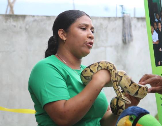 ML | Personal mostrando la importancia de las serpientes en el ecosistema.