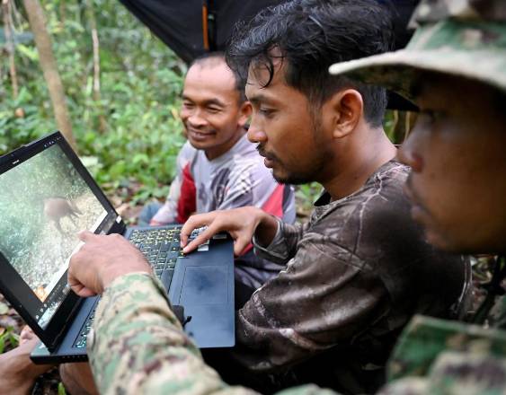 . (Photo by TANG CHHIN Sothy / AFP) / To go with 'CAMBODIA-CONSERVATION-ENVIRONMENT-ANIMAL-SCIENCE-FORESTS,FOCUS' by Sara HUSSEIN and Suy SE