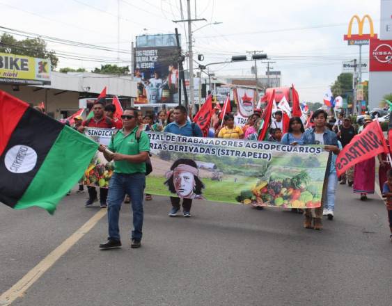 ML | Trabajadores del sindicato de trabajadores de sector agropecuario participan en una marcha.