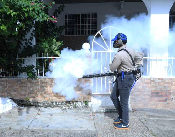 ML | Personal del Ministerio de Salud durante una jornada de fumigación.