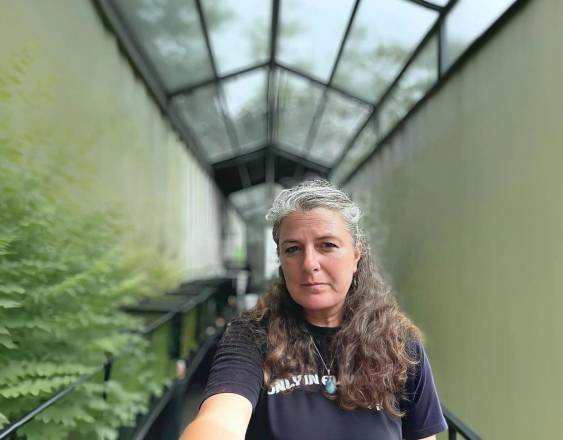 Cortesía | Heidi Ross tiene su laboratorio dentro del área de distribución histórica de la rana dorada panameña, lo que le permite estar conectada con los cambios del clima.