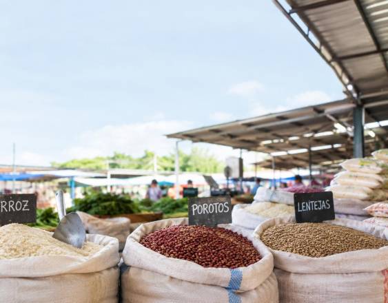 Precios de los granos aumentaron 36.9% por El Niño y el combustible