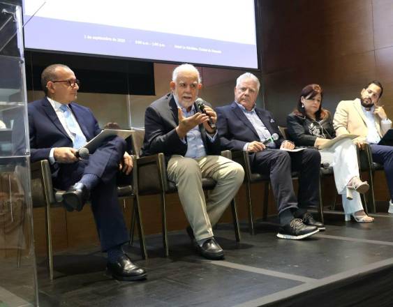 ML | Durante el panel de expertos en el Taller de Consulta Técnica.