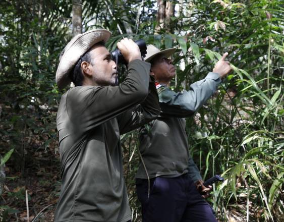 MiAmbiente rinde homenaje a los guardaparques del país