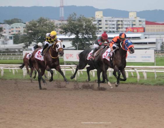 ‘Infinity Champion’ brilla en el Clásico familia Farrugia