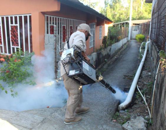 ML | Nebulización y eliminación de criaderos.