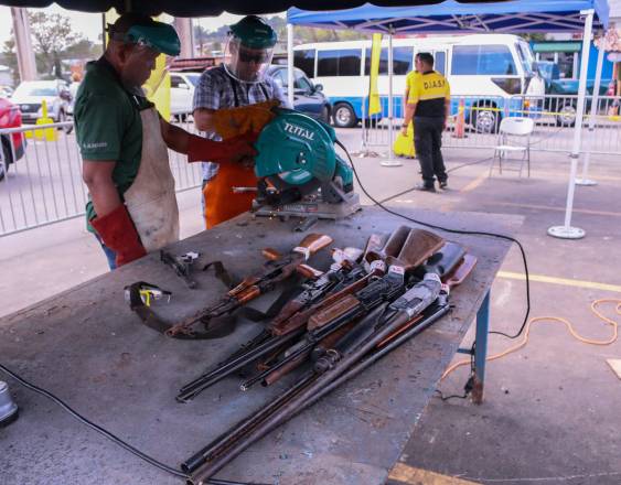 ML | Armas entregadas en el programa.