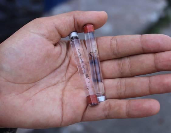 Minsa: 197 hospitalizados y 6 defunciones por dengue en Panamá