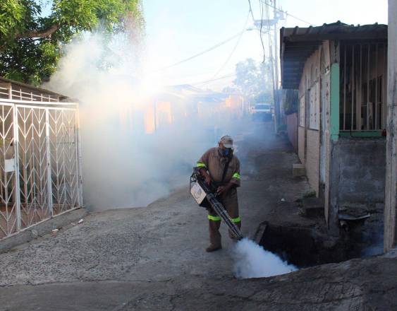 ML | Personal del Minsa realiza acciones contra el dengue.