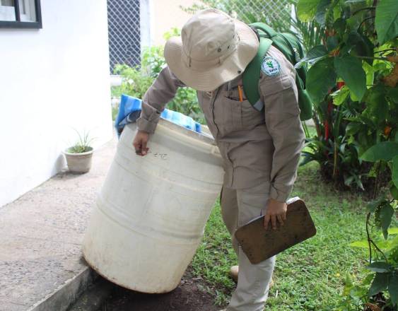 ML | Realizando operativo.