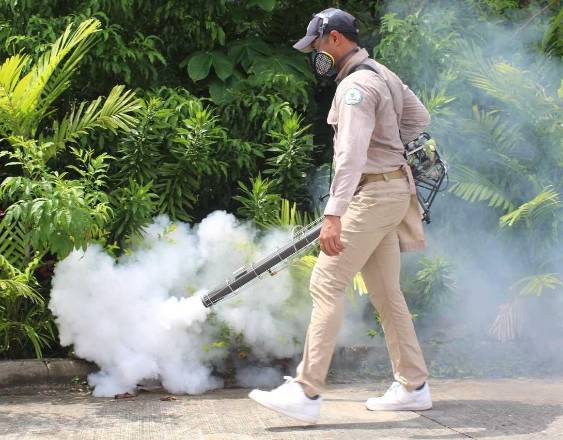 ML | Acciones para prevenir el dengue.