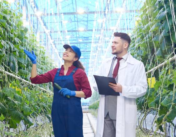 Cortesía | Dos especialistas en un vivero de plantas comestibles.