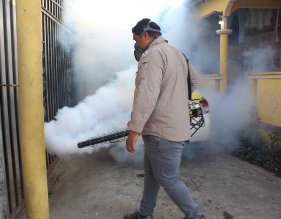 ML | Jornada de fumigación.
