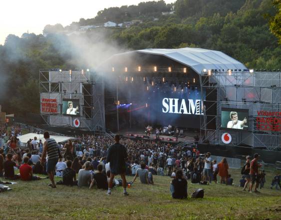 Pexels | Un grupo amplio de personas que se encuentran disfrutando de un concierto al aire libe.