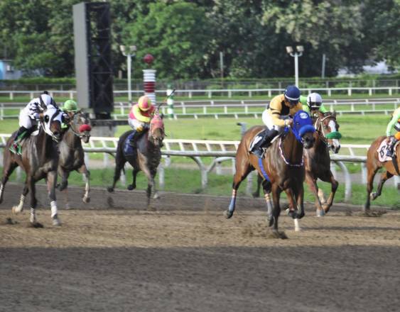 Cortesía | Caballos en una carrera en el Hipódromo Presidente Remón.