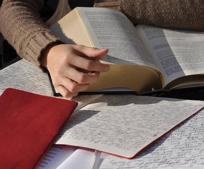 “Turismo y tecnología”, los sectores con más emprendimientos