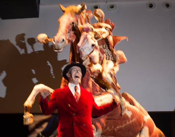 El anatomista alemán e inventor de la técnica de plastinación Gunther von Hagens posa frente a una obra titulada “Rider”.