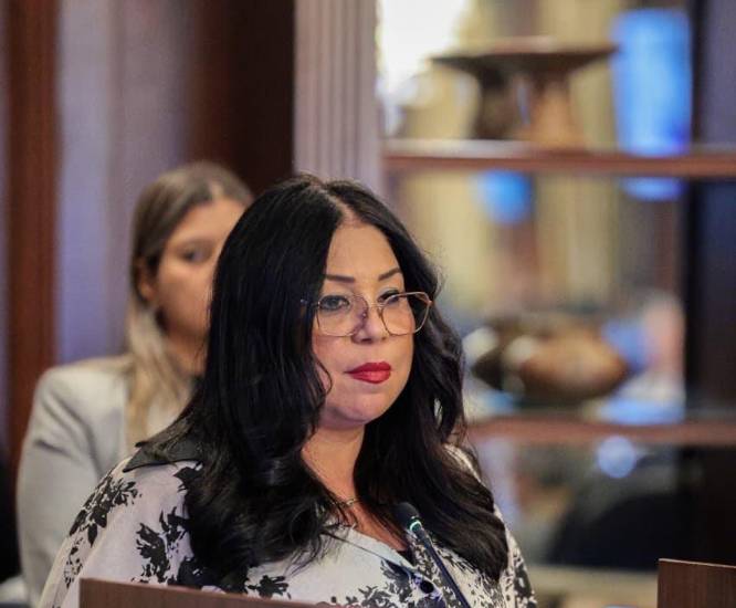 Crea programa de verificación de la carga que entre y salga del país