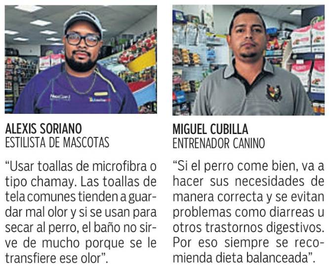 $!Los consejos para que las mascotas huelan bien