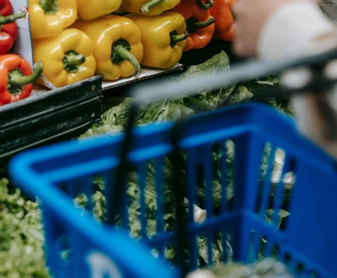 Impacto en el turismo, agro y electricidad