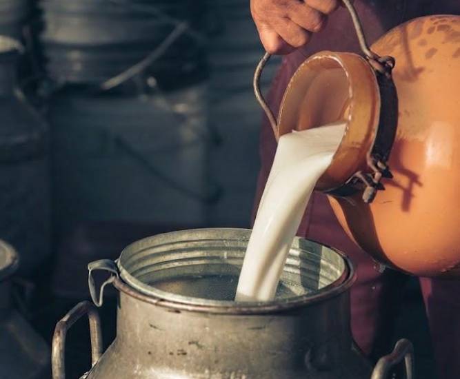 Producción de leche supera los 145 millones de litros al año