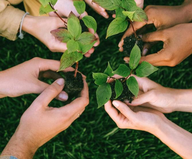 Agro, turismo y puertos, claves para la economía en Chiriquí