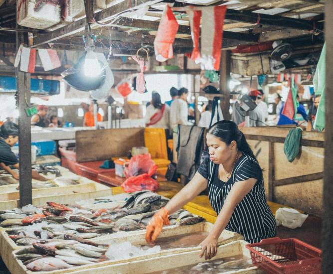 “Turismo y tecnología”, los sectores con más emprendimientos