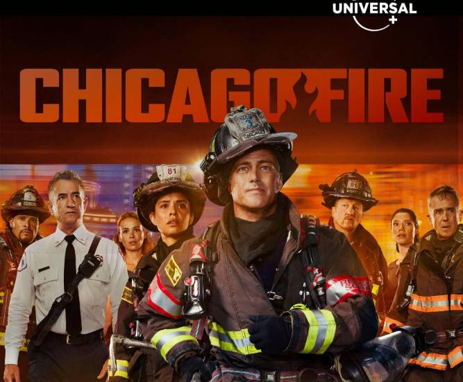 Una década con Stella