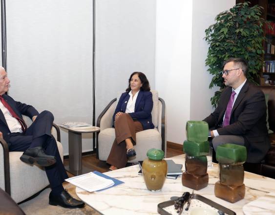 ML | Durante la reunión.