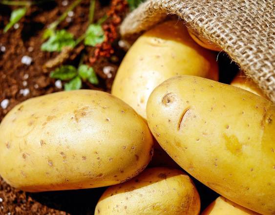 PIXABAY | Unas papas que se salen de un saco de henequén que está en la tierra.