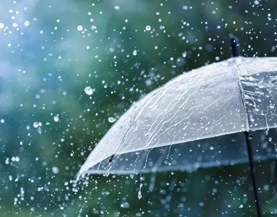 Pixabay | Un paraguas utilizado para protegerse de la lluvia.