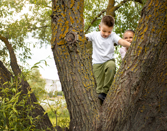 Freepik | Dos niños en un árbol. En Semana Santa, se dice que no se debe trepar a los árboles el Viernes Santo, porque quien lo haga se convertirá en mono o un animal salvaje.