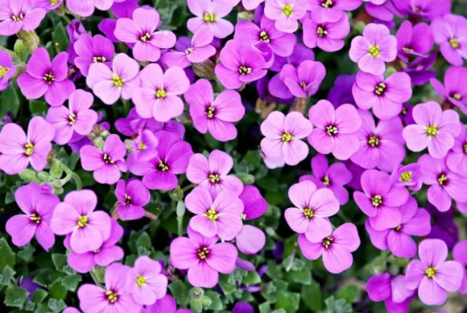 Tejemeneje del 2 de enero de 2026